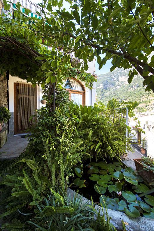 B&B Le Ninfee Di Positano Rom bilde